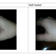 Illustration for article titled This Guy Implanted a Cattle Tracker in His Hand to Hack a Phone